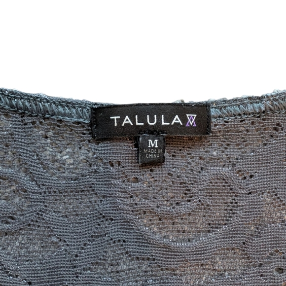 Aritzia Talula Clarendon Dress Lace Sheer Whimsigoth Y2K Women's M Fairy Grey - Picture 9 of 14